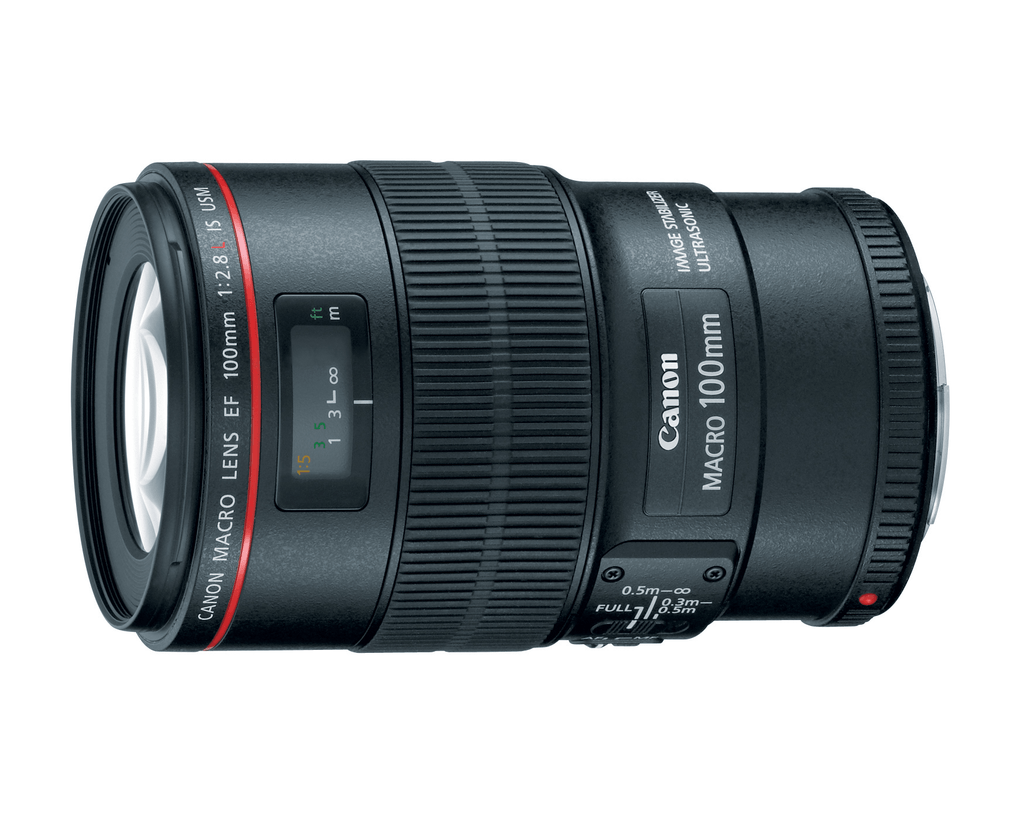 Canon Ef 100Mm F/2.8L Macro Is Usm