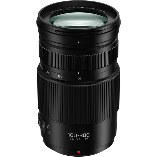 Panasonic Lumix G Vario 100-300Mm F/4-5.6 Ii Power O.I.S. Lens