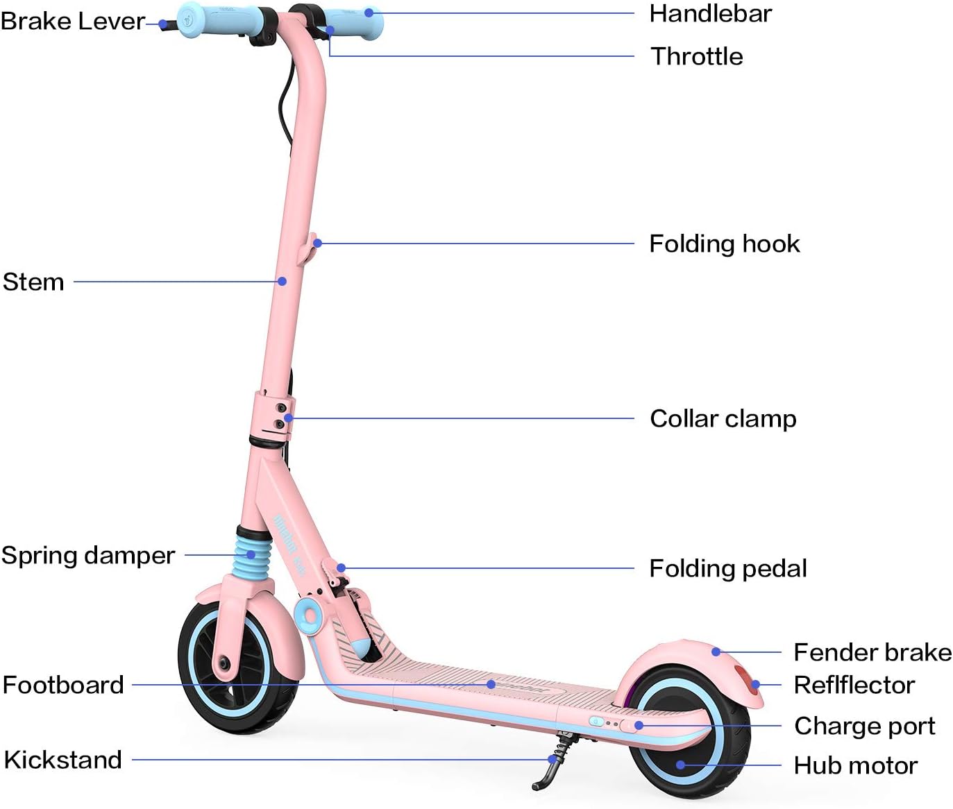 Segway Ninebot Ekickscooter - Electric Kick Scooter