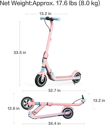 Segway Ninebot Ekickscooter - Electric Kick Scooter