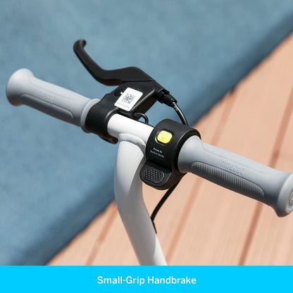 Segway Ninebot Ekickscooter - Electric Kick Scooter