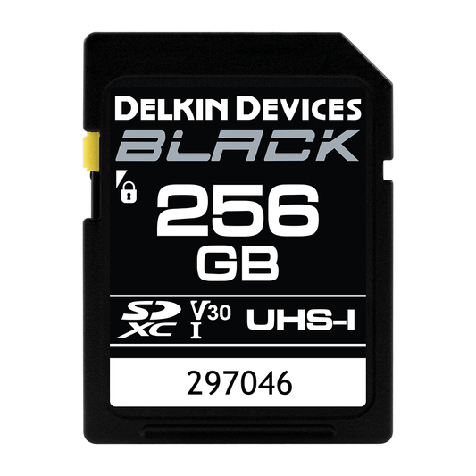 Delkin Sdxc Black Memory Card 256 Gb