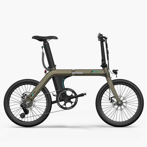 Fiido D21 Folding Electric Bike With Torque Sensor