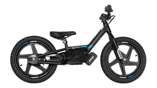 2022 Stacyc Brushless 16 E-Drive