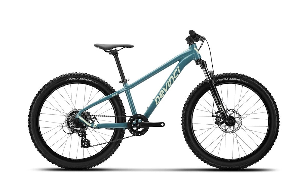2022 Devinci Ewoc 24