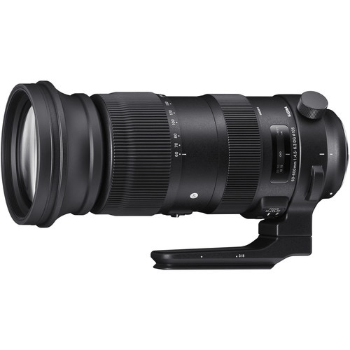 Sigma 60-600Mm F/4.5-6.3 Dg Os Hsm Sports Lens For Nikon F